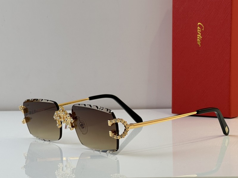 Cartier Glasses 08smh29 (6)