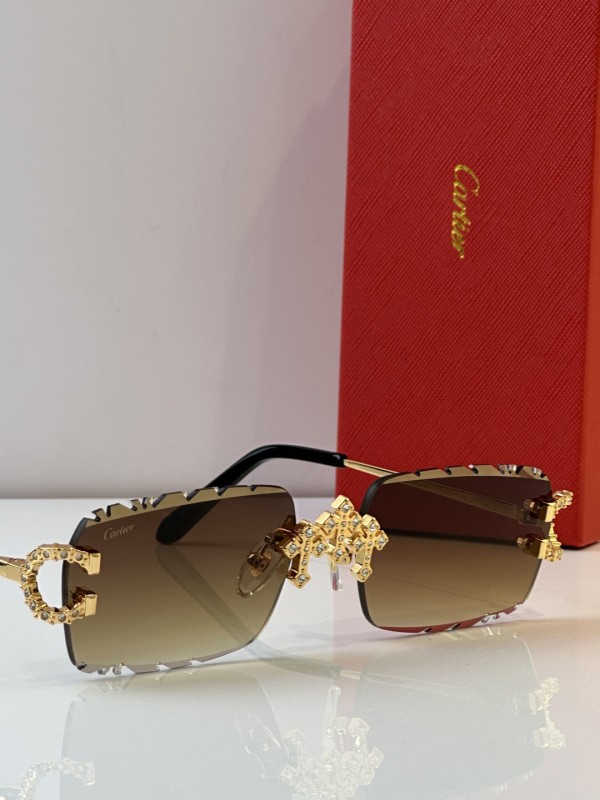 Cartier Glasses 08smh29 (7)