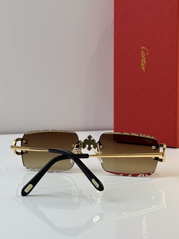 Cartier Glasses 08smh29 (9)