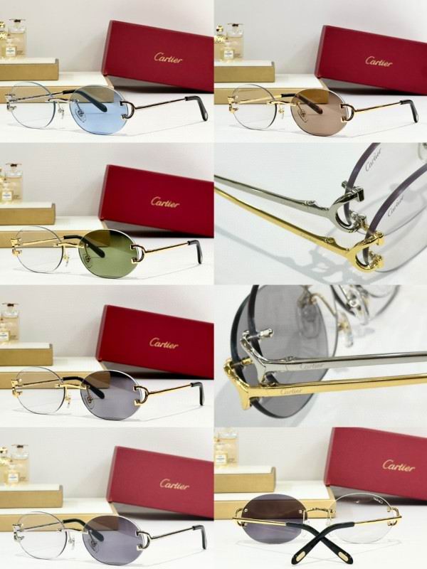 Cartier Glasses 08smh290 (10)