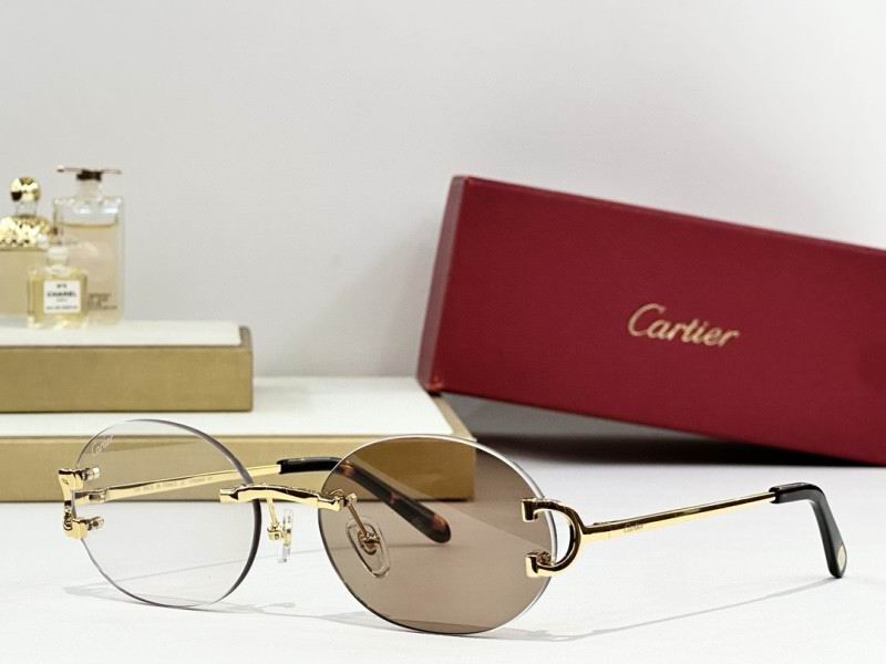 Cartier Glasses 08smh290 (3)