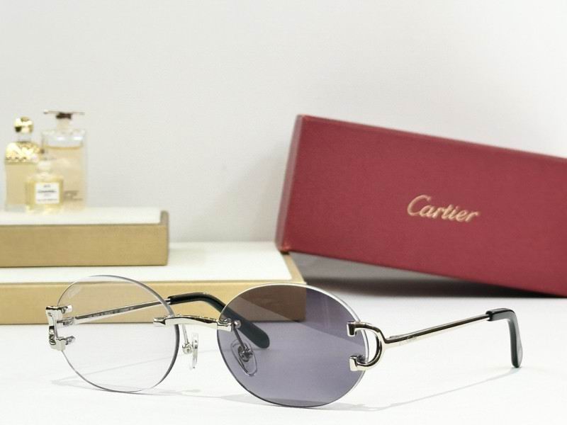 Cartier Glasses 08smh290 (4)