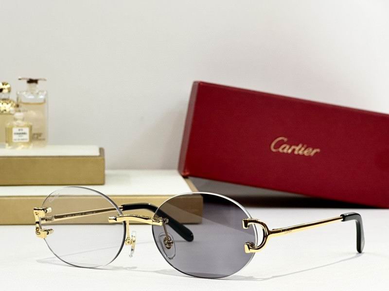 Cartier Glasses 08smh290 (5)