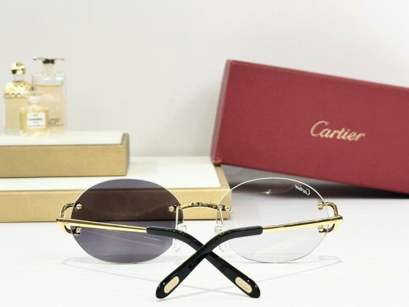 Cartier Glasses 08smh290 (6)