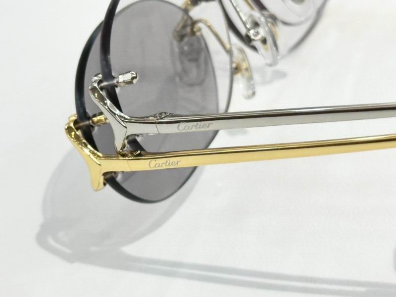 Cartier Glasses 08smh290 (7)