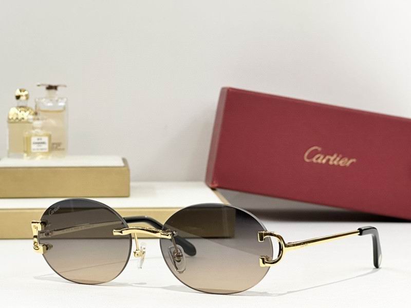 Cartier Glasses 08smh291 (3)
