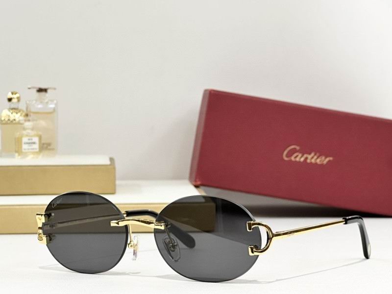 Cartier Glasses 08smh291 (6)