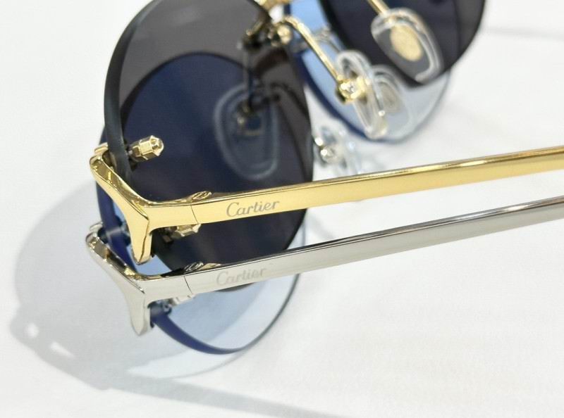Cartier Glasses 08smh291 (7)