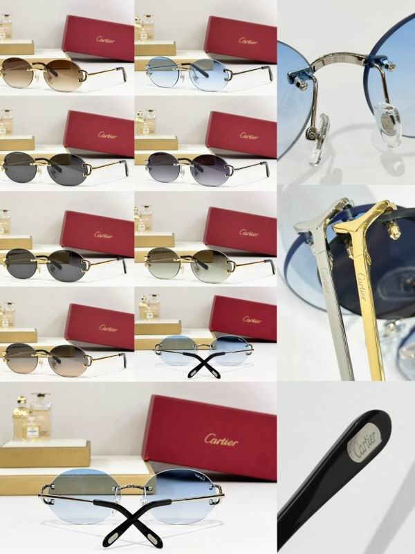 Cartier Glasses 08smh291 (8)