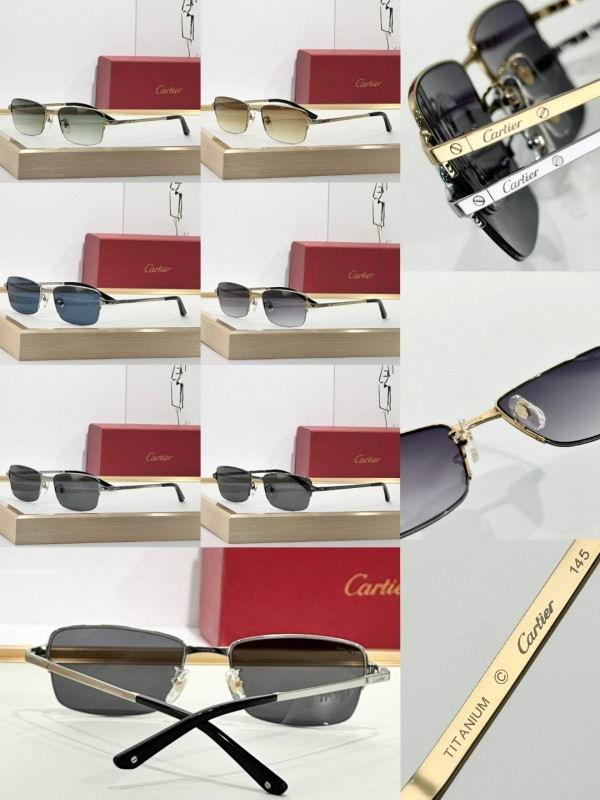 Cartier Glasses 08smh292 (10)