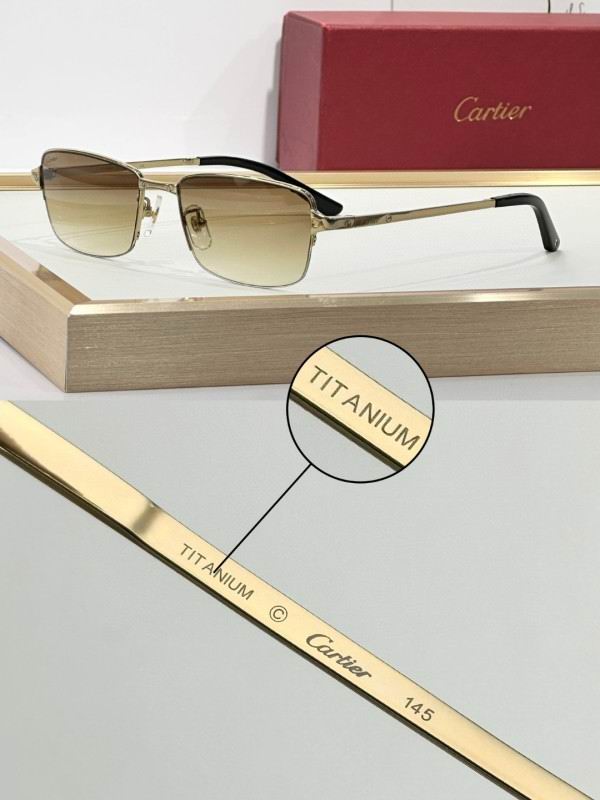 Cartier Glasses 08smh292 (5)