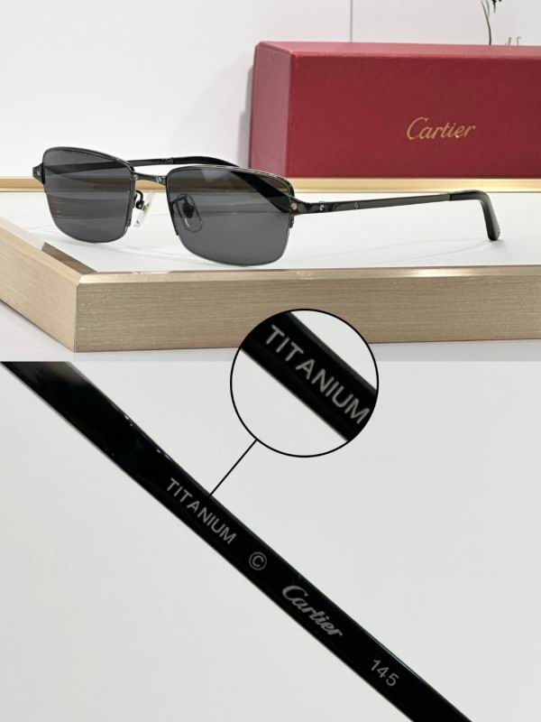 Cartier Glasses 08smh292 (6)