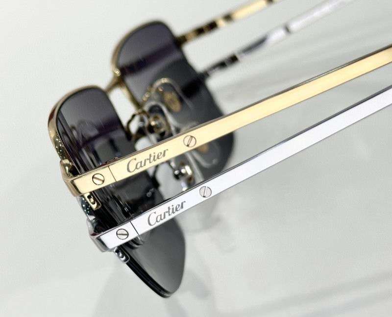 Cartier Glasses 08smh292 (8)