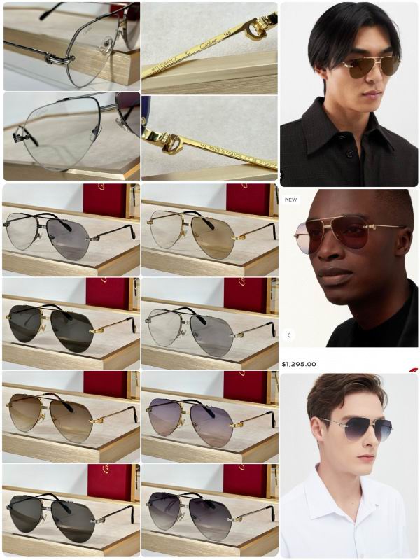 Cartier Glasses 08smh293 (10)