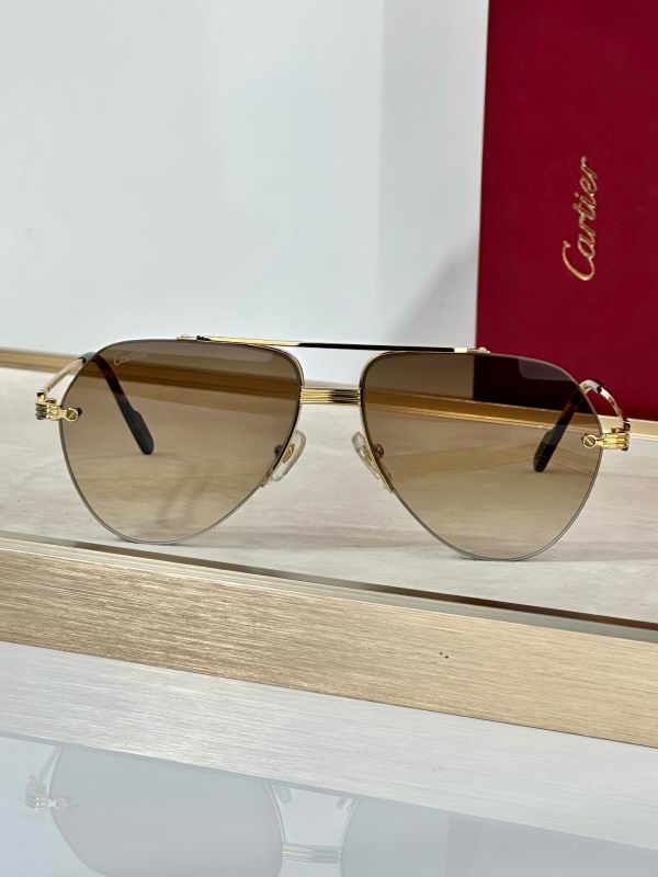 Cartier Glasses 08smh293 (2)