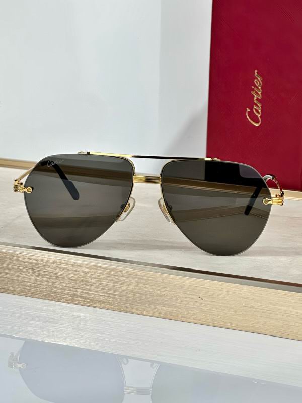 Cartier Glasses 08smh293 (3)