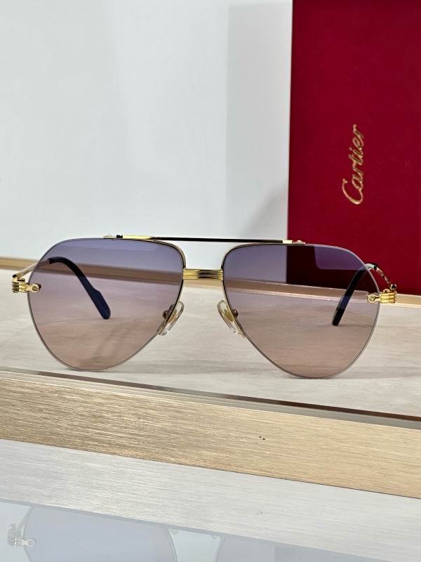 Cartier Glasses 08smh293 (4)