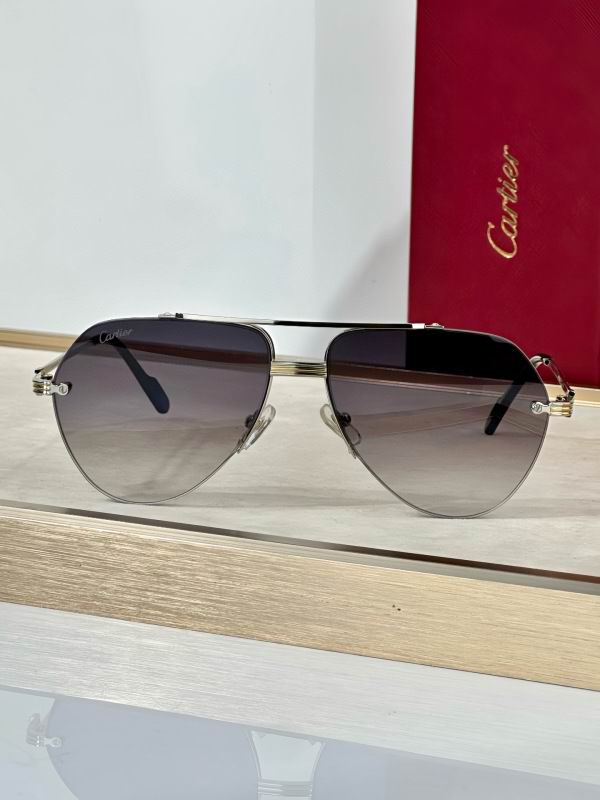 Cartier Glasses 08smh293 (5)