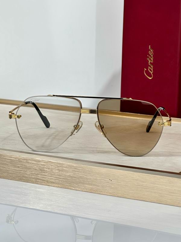 Cartier Glasses 08smh293 (6)