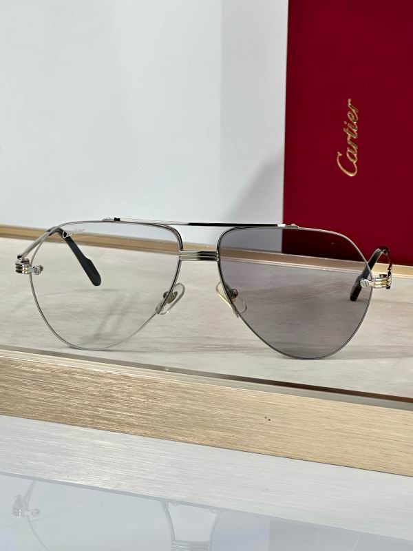 Cartier Glasses 08smh293 (7)