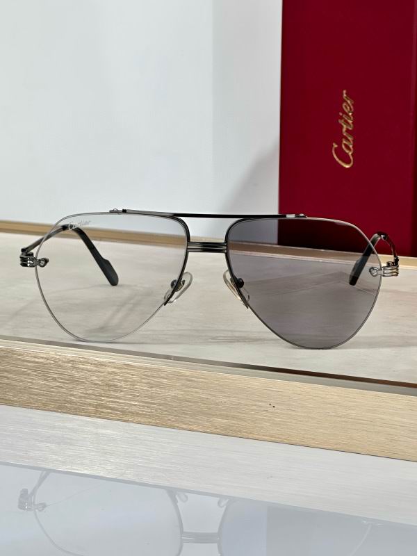 Cartier Glasses 08smh293 (8)