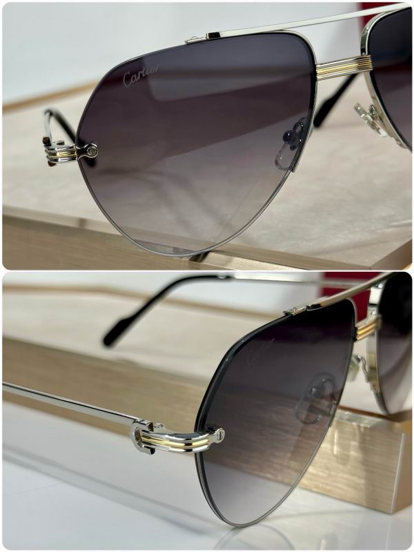 Cartier Glasses 08smh293 (9)