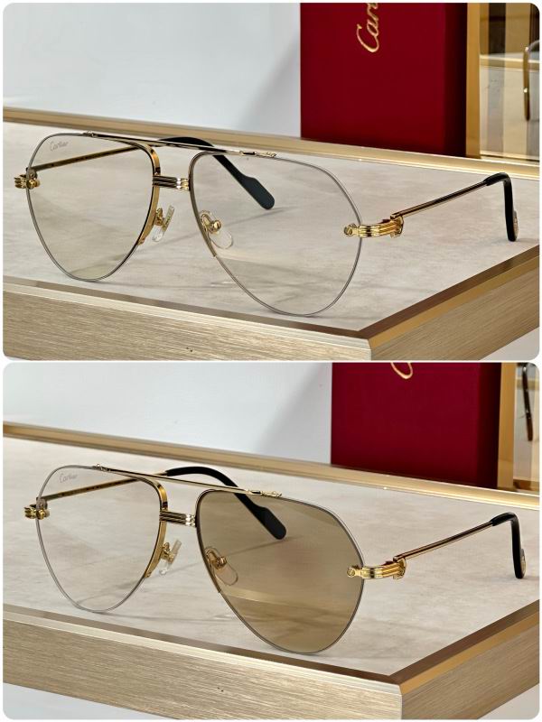 Cartier Glasses 08smh294 (2)