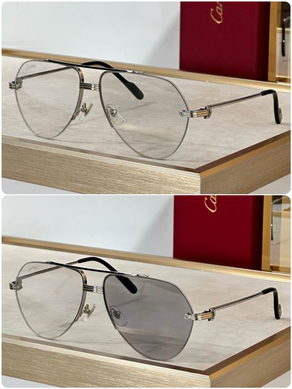 Cartier Glasses 08smh294 (3)