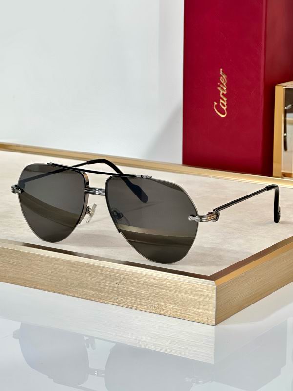 Cartier Glasses 08smh294 (6)