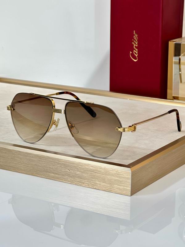 Cartier Glasses 08smh294 (7)