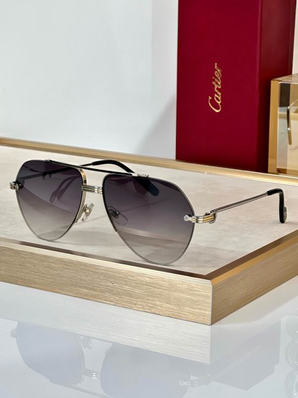 Cartier Glasses 08smh294 (8)