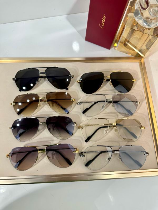 Cartier Glasses 08smh294 (9)