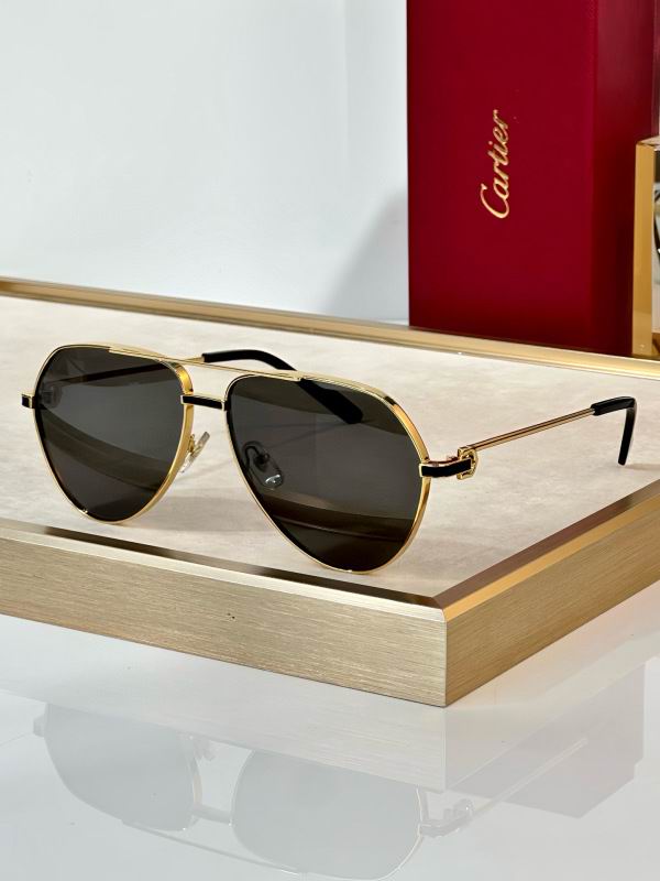 Cartier Glasses 08smh295 (3)