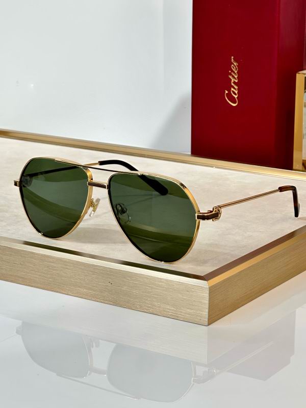 Cartier Glasses 08smh295 (4)