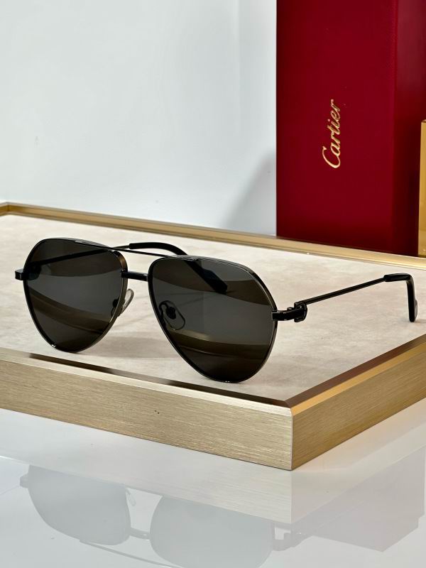 Cartier Glasses 08smh295 (5)