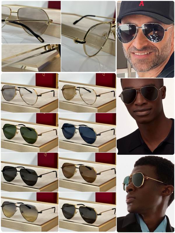 Cartier Glasses 08smh295 (9)