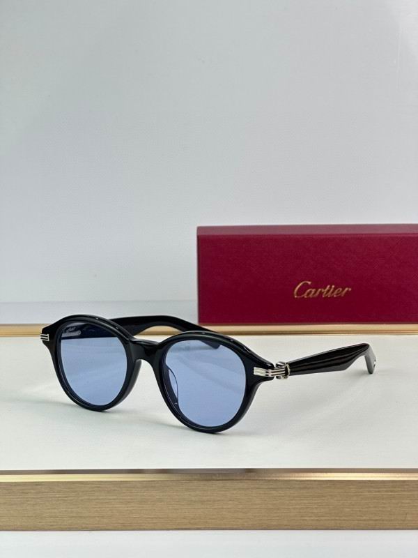 Cartier Glasses 08smh296 (2)