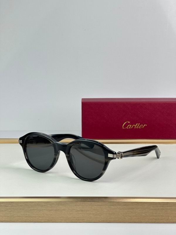 Cartier Glasses 08smh296 (3)