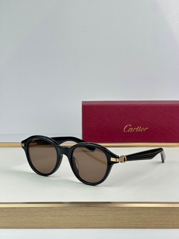 Cartier Glasses 08smh296 (4)