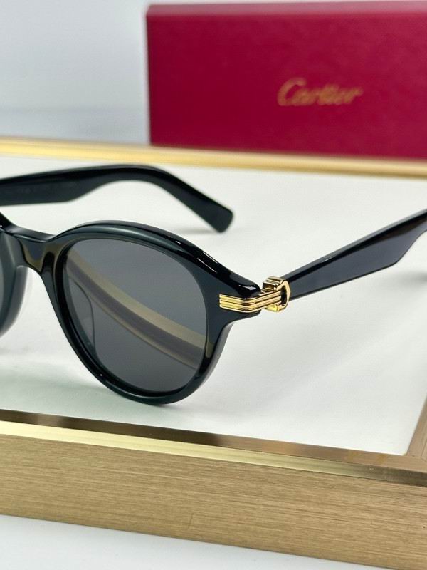 Cartier Glasses 08smh296 (5)