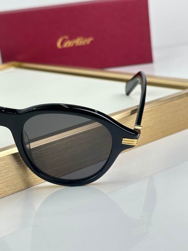 Cartier Glasses 08smh296 (6)