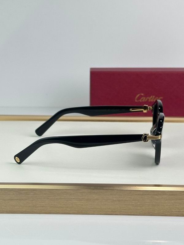 Cartier Glasses 08smh296 (7)
