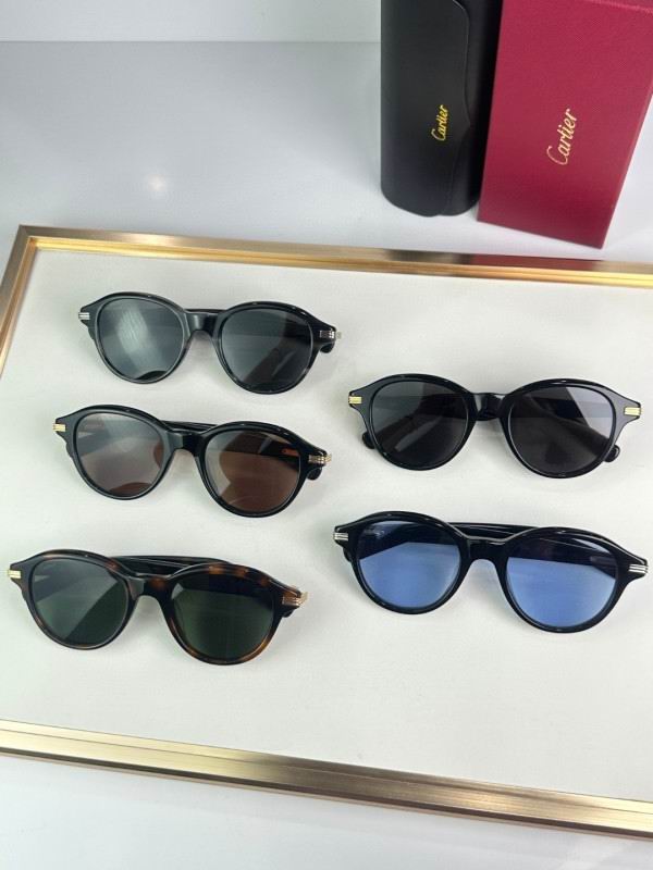 Cartier Glasses 08smh296 (8)