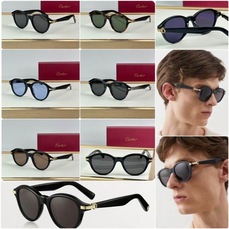 Cartier Glasses 08smh296 (9)