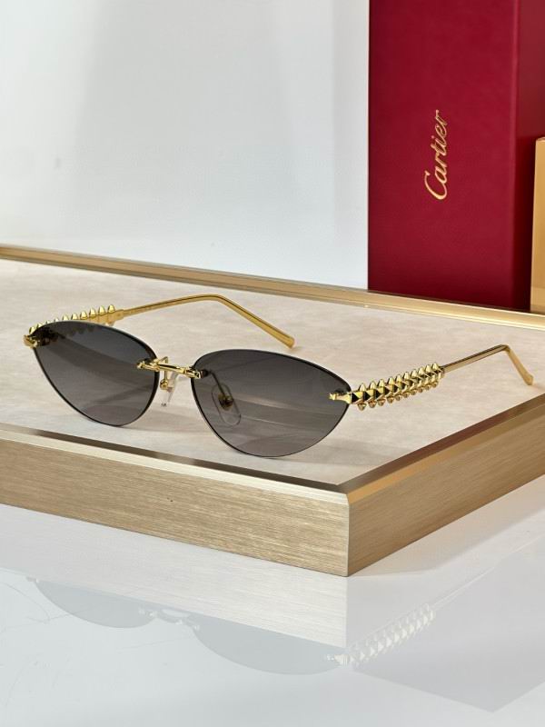 Cartier Glasses 08smh297 (1)