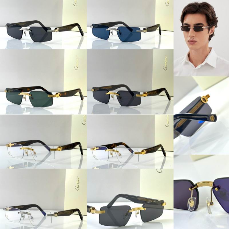 Cartier Glasses 08smh297 (10)