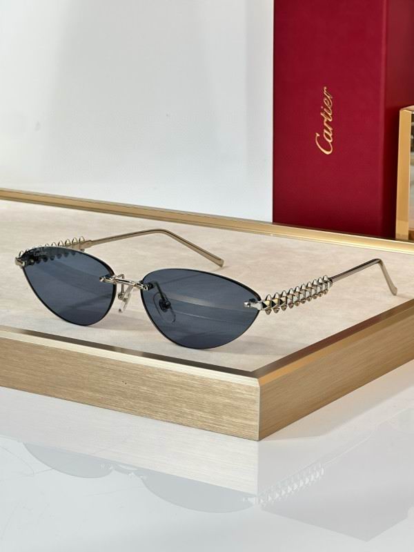 Cartier Glasses 08smh297 (2)