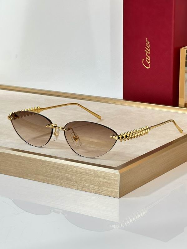 Cartier Glasses 08smh297 (3)