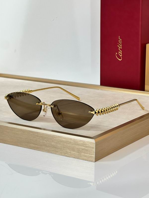 Cartier Glasses 08smh297 (5)