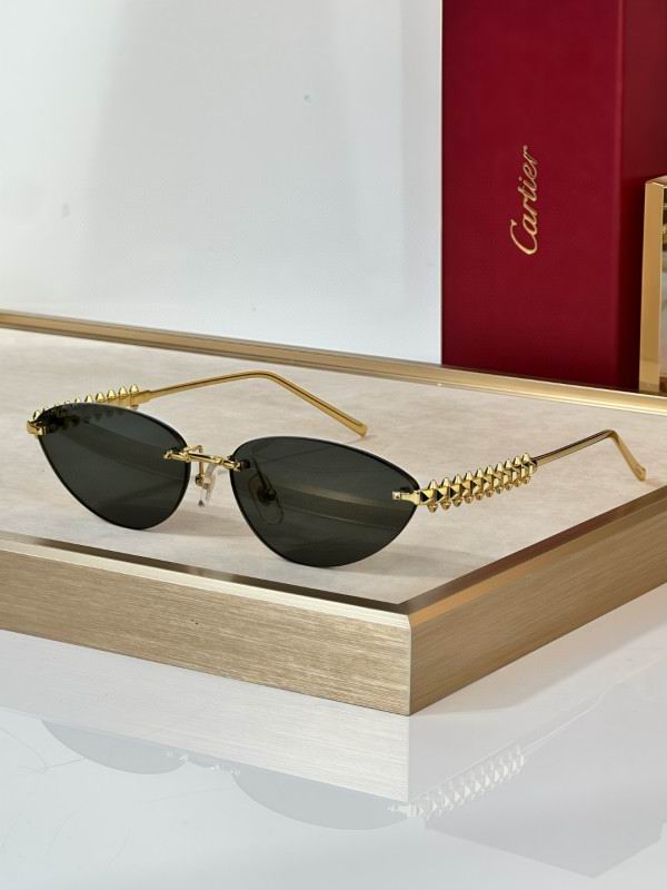 Cartier Glasses 08smh297 (6)